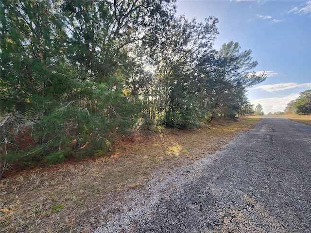 2176 W Conway Dr, Citrus Springs, FL 34434 - photo 2