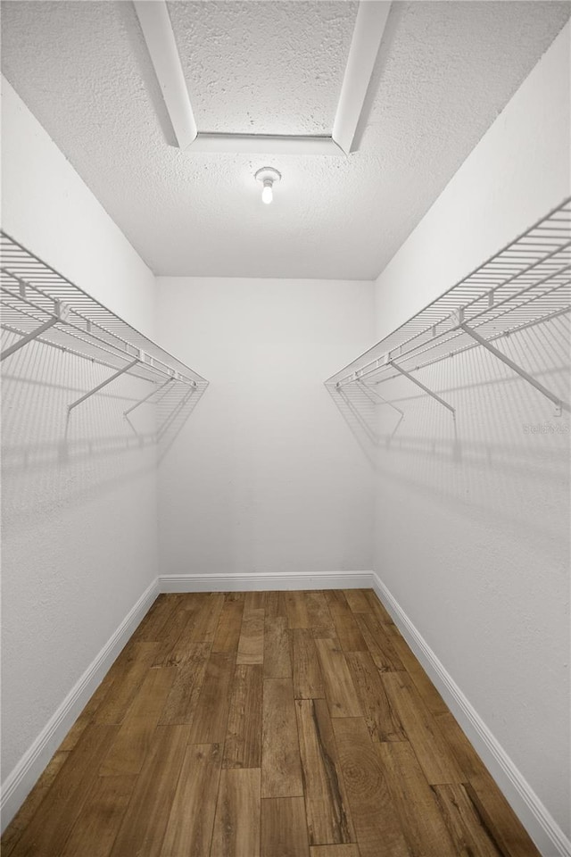 walk in closet featuring wood-type flooring