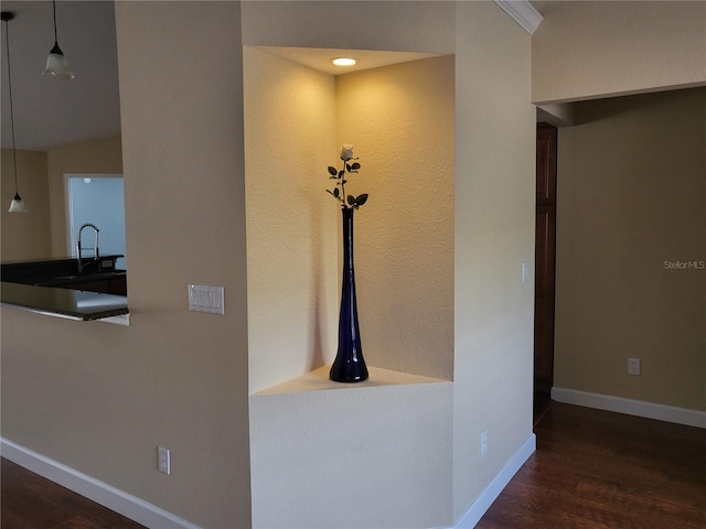 hall featuring sink and dark wood-type flooring