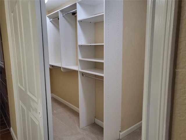 spacious closet with carpet flooring