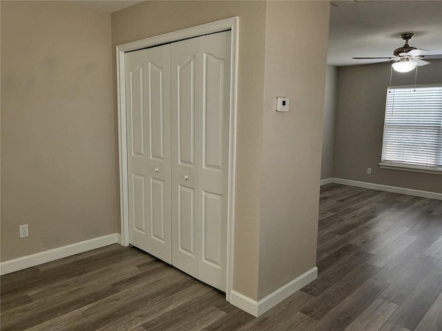 corridor featuring dark wood-type flooring