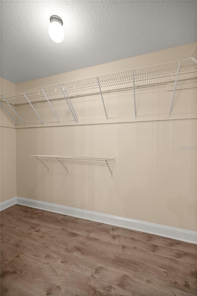 walk in closet with wood-type flooring