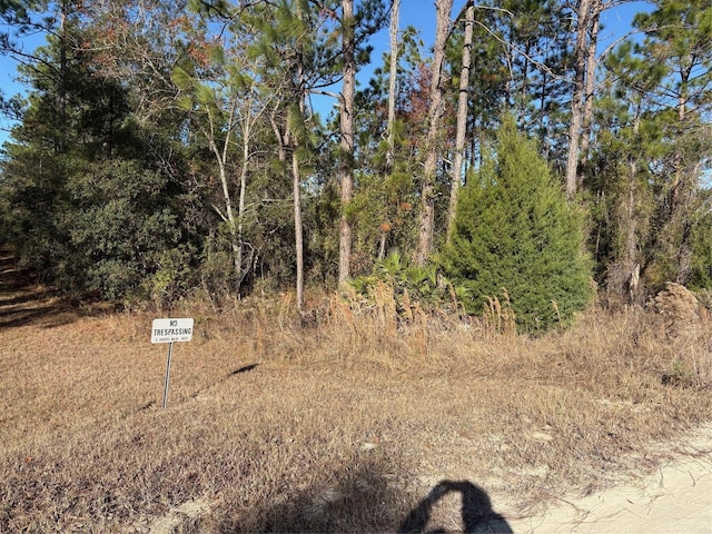 0 SW 165 Avenue Rd, Ocala FL, 34481 land for sale