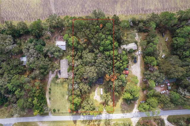 9130 NE 65th Ln, Bronson FL, 32621 land for sale