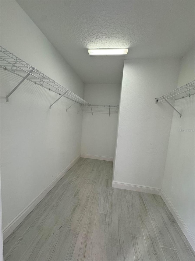 spacious closet featuring light hardwood / wood-style floors