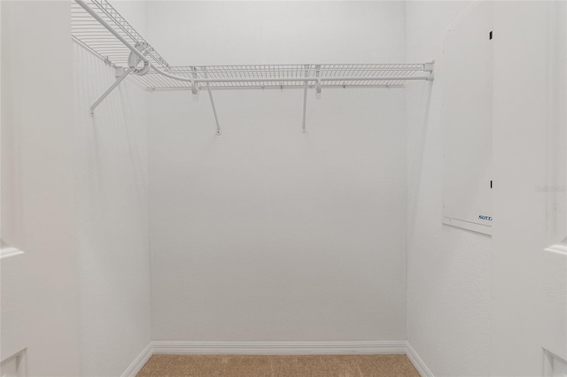 walk in closet with carpet flooring