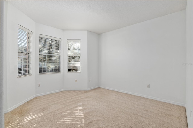 empty room featuring light colored carpet and a textured ceiling