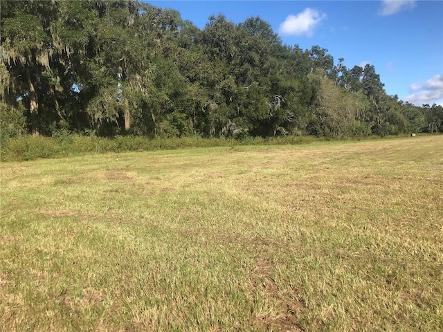 32nd Ct, Reddick FL, 32686 land for sale