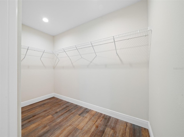 spacious closet featuring dark wood-type flooring