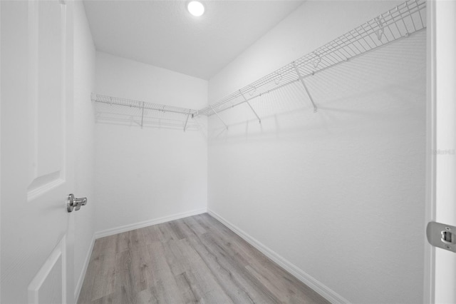 spacious closet with light hardwood / wood-style floors