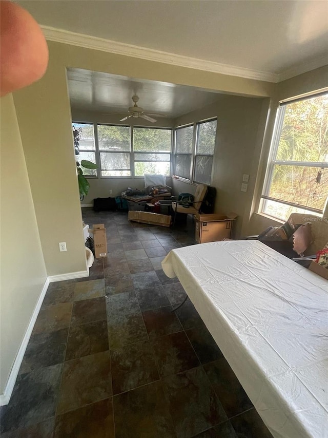 interior space with ceiling fan and ornamental molding