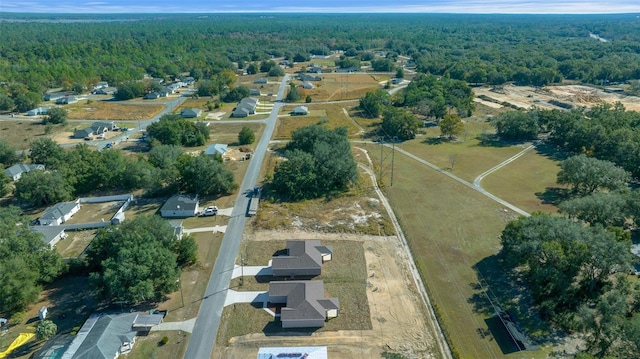 bird's eye view