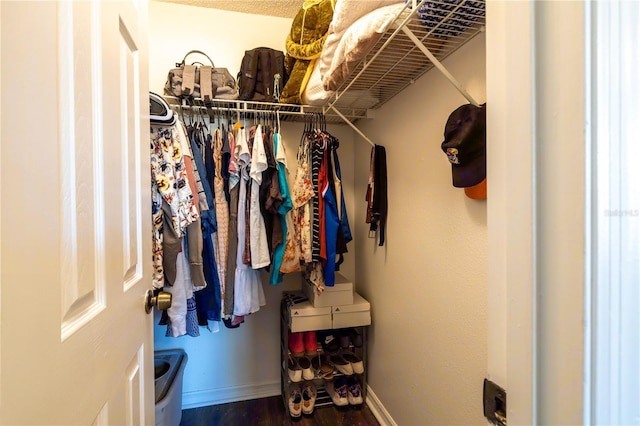 walk in closet with wood-type flooring