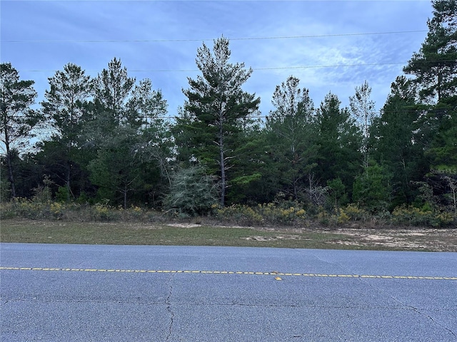 Shenandoah Blvd, Chipley FL, 32428 land for sale