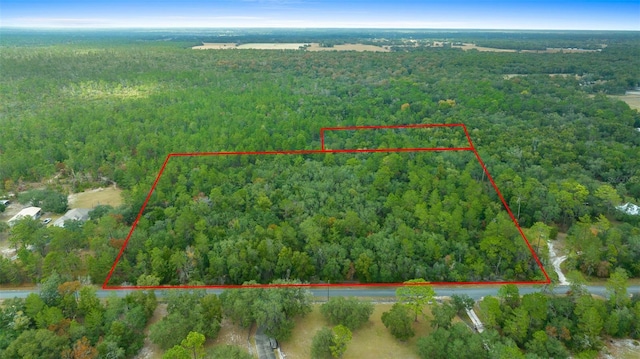 0 County Road 245c, Oxford FL, 34484 land for sale