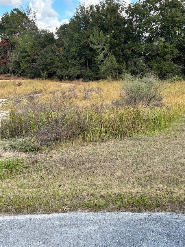 0 SW 37th Ter, Ocala, FL 34476 - photo 1
