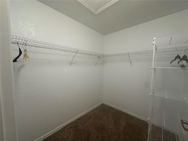 8968 SW 116th Place Rd, Ocala, FL 34481 - walk in closet featuring carpet floors