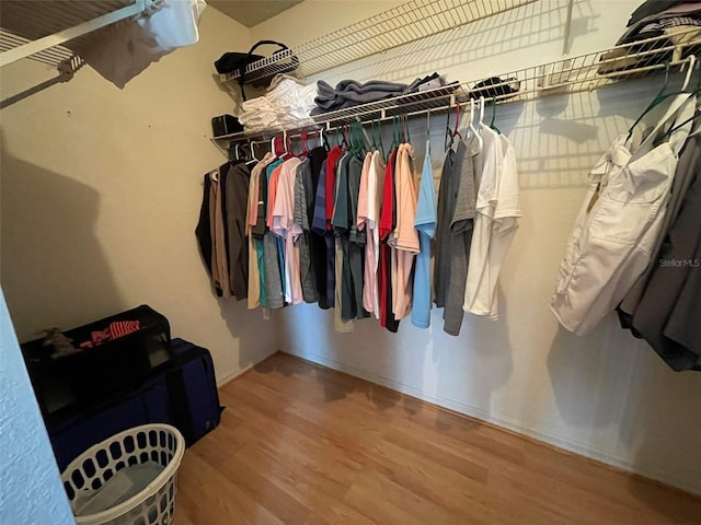 spacious closet featuring hardwood / wood-style floors