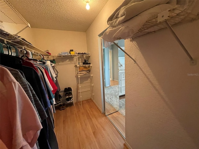 spacious closet with light wood-type flooring