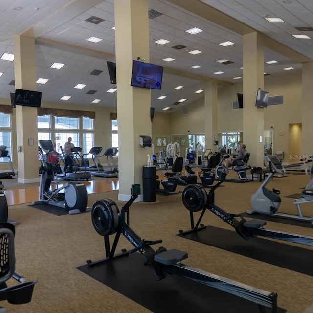 workout area featuring carpet, a drop ceiling, and high vaulted ceiling