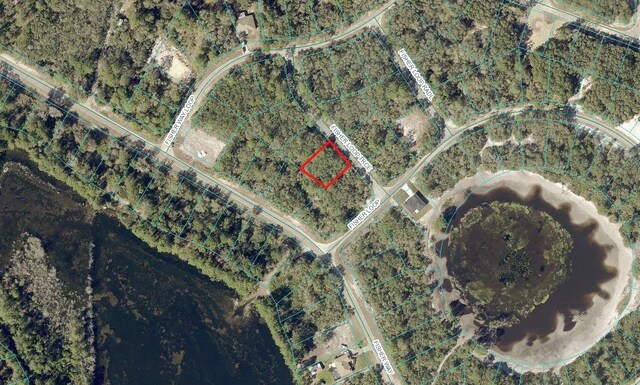 00 Fisher Loop Trce, Ocklawaha FL, 32179 land for sale