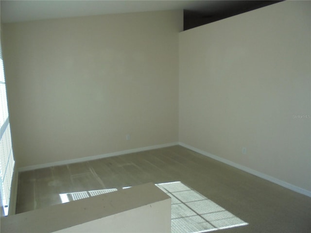 empty room featuring carpet