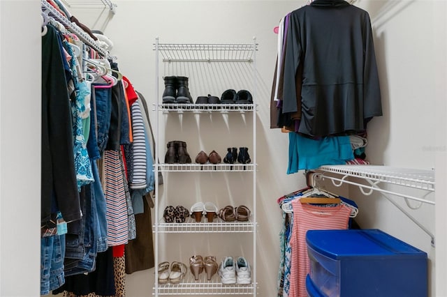 view of walk in closet