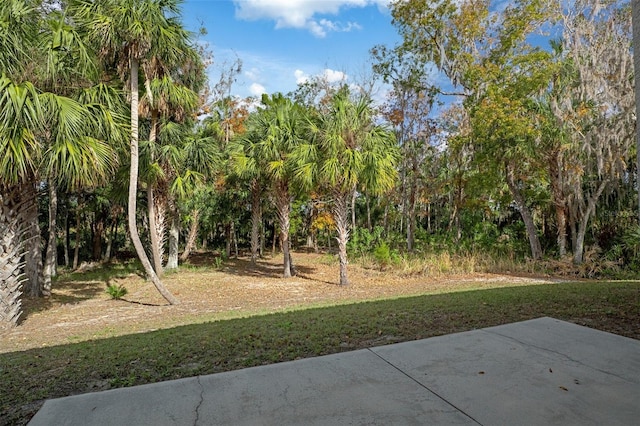 view of yard with a patio