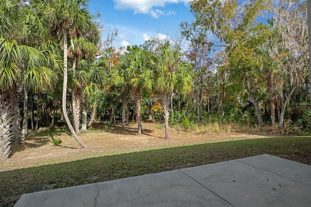 11765 W Timberlane Dr, Homosassa, FL 34448 - photo 47