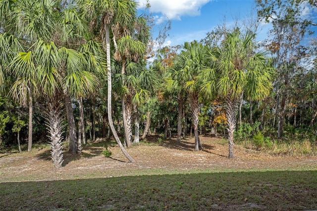 11765 W Timberlane Dr, Homosassa, FL 34448 - photo 48