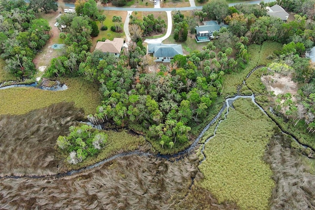 aerial view