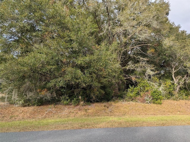 Listing photo 2 for 000 SW Beach Blvd, Dunnellon FL 34431