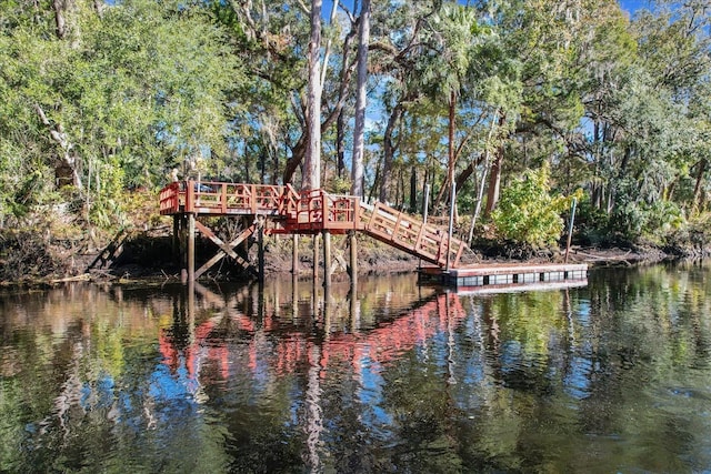 dock area with a water view