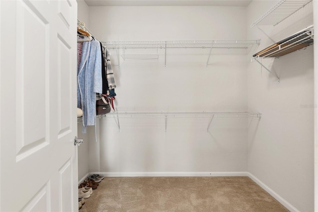 spacious closet with carpet