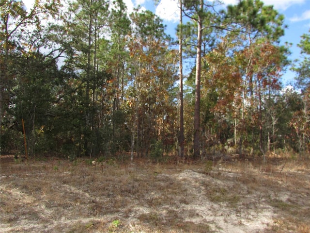 LOT5 SW 168th Cir, Ocala FL, 34481 land for sale