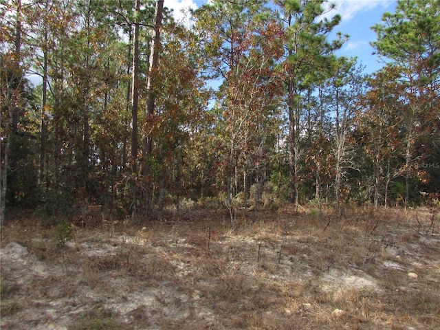 Listing photo 2 for LOT5 SW 168th Cir, Ocala FL 34481