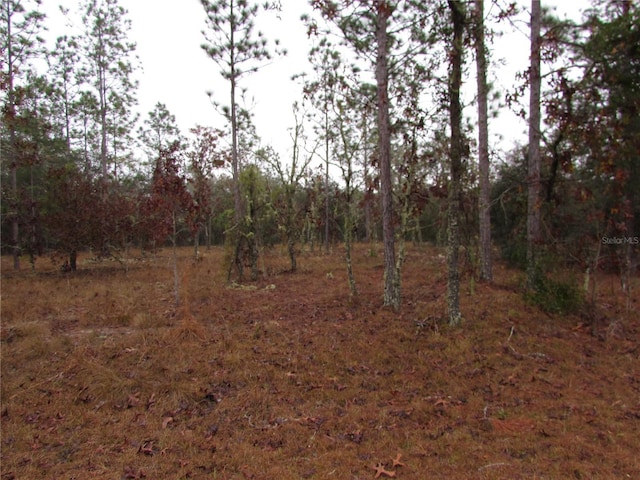 LOT57 SE 131st Ter, Dunnellon FL, 34431 land for sale