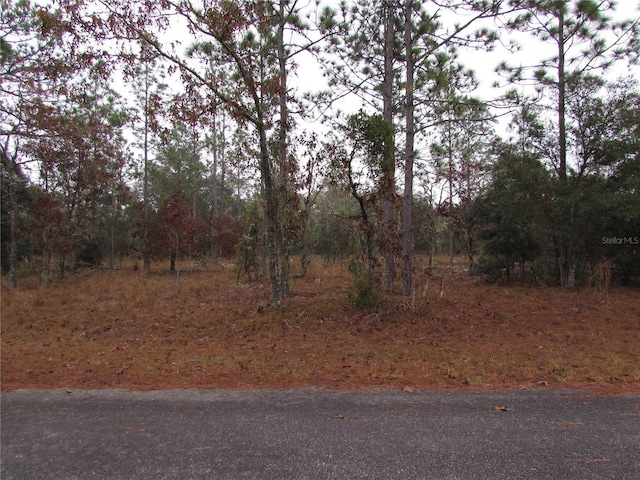 Listing photo 2 for LOT57 SE 131st Ter, Dunnellon FL 34431