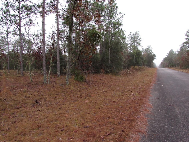 Listing photo 3 for LOT57 SE 131st Ter, Dunnellon FL 34431