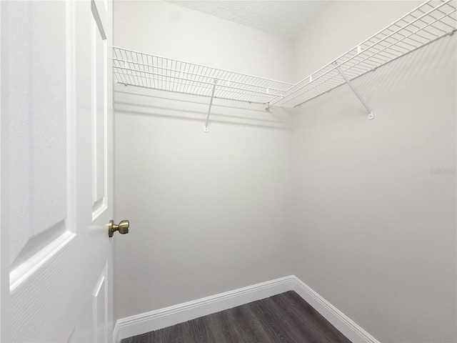 spacious closet featuring dark hardwood / wood-style flooring