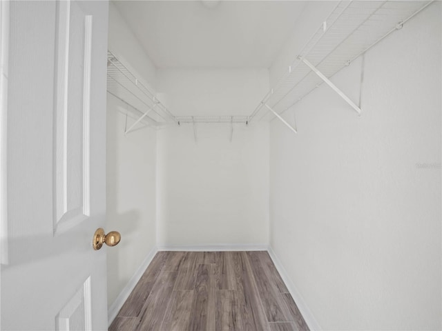 walk in closet featuring hardwood / wood-style floors