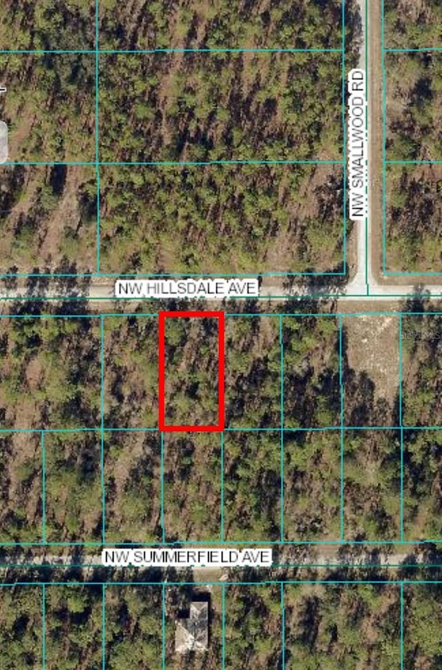 LOT15 NW Hillsdale Ave, Dunnellon FL, 34431 land for sale