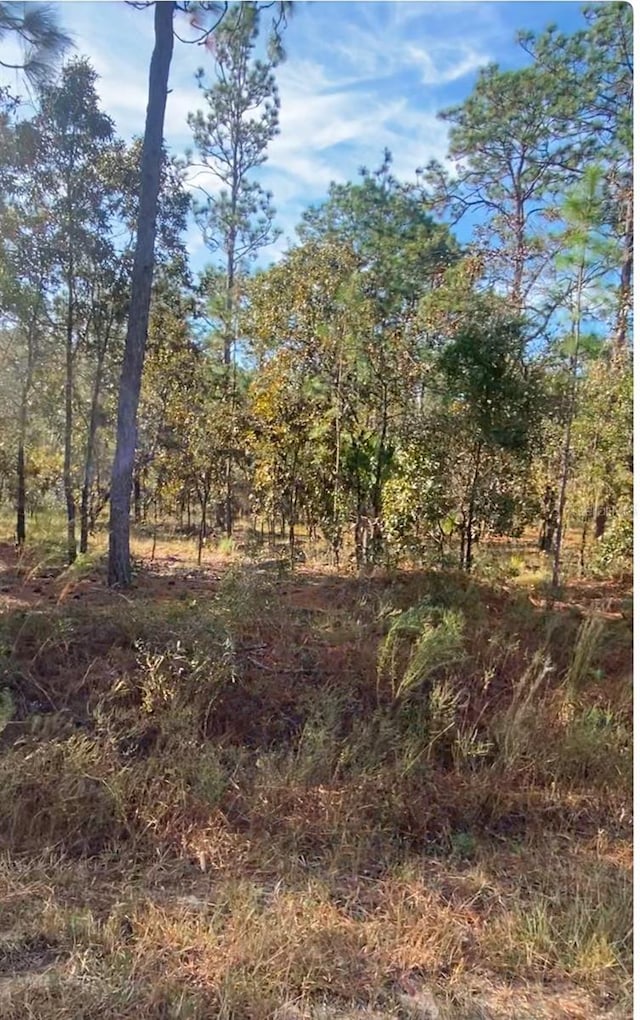 Listing photo 2 for LOT15 NW Hillsdale Ave, Dunnellon FL 34431