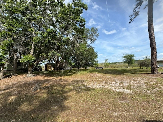 NE 135th Ln, Salt Springs FL, 32134 land for sale