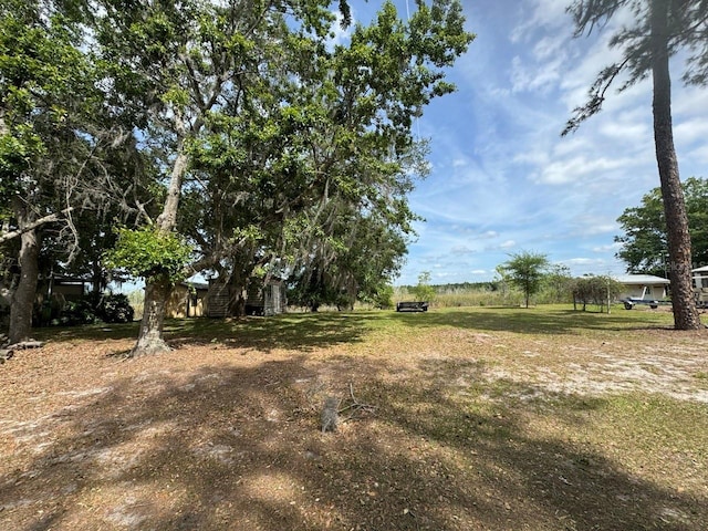 Listing photo 2 for NE 135th Ln, Salt Springs FL 32134