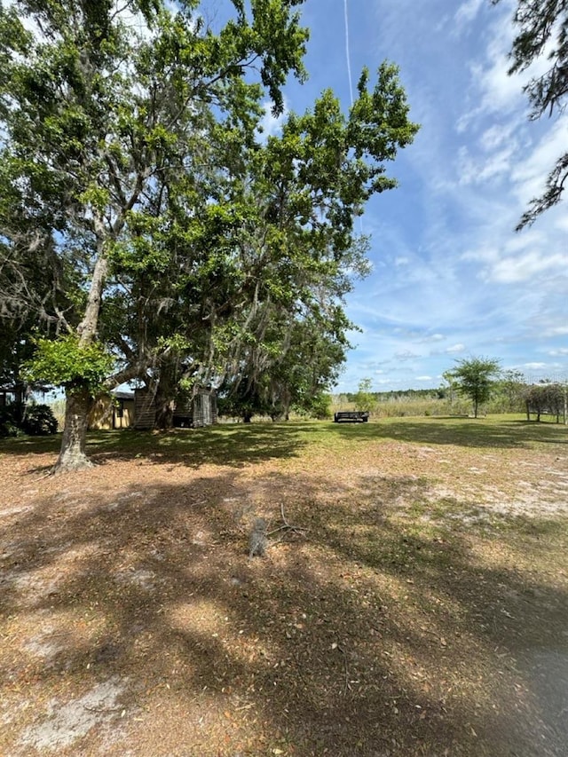 Listing photo 3 for NE 135th Ln, Salt Springs FL 32134