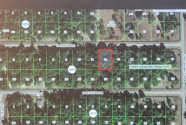 1746 E Carson Rd, Citrus Springs FL, 34434 land for sale