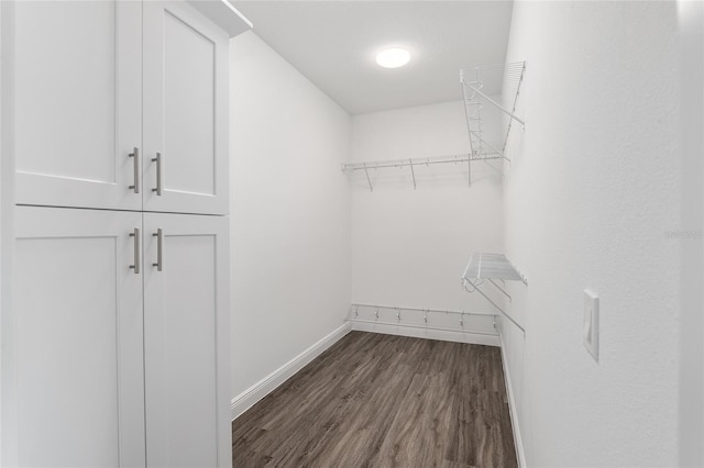 walk in closet featuring dark hardwood / wood-style floors