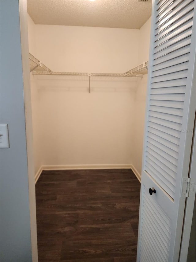 walk in closet with dark hardwood / wood-style floors