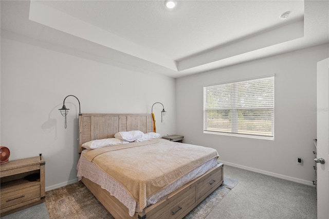 carpeted bedroom with a tray ceiling